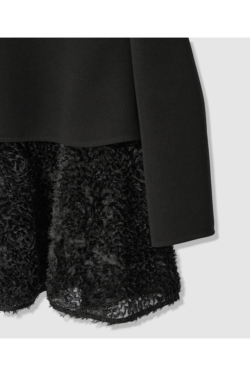 【アナイ/ANAYI】のテープチュール刺繍レイヤード プルオーバー 人気、トレンドファッション・服の通販 founy(ファニー)  ファッション Fashion レディースファッション Fashion for Women トップス・カットソー Cut & Sew Tops シャツ・ブラウス・オフィスカジュアル Elegant Blouses & Button-Ups カジュアルプルオーバー・ニットトップス Pullovers & Knit Tops / Casual Pullovers シアー Sheer, See-Through シンプル Simple, Minimal スリーブ Sleeve, Long Sleeve / Short Sleeve ダブル Double, Double-Breasted チュール Tulip, Tulip Motif フェザー Feather, Feather Detail ペプラム Peplum, Flared Hem ラウンド Round, Round Neck ロング Long, Long-Length 新作・新入荷 New Arrivals / New In other-4|ID: prp329100004756555 ipo3291000000034408580