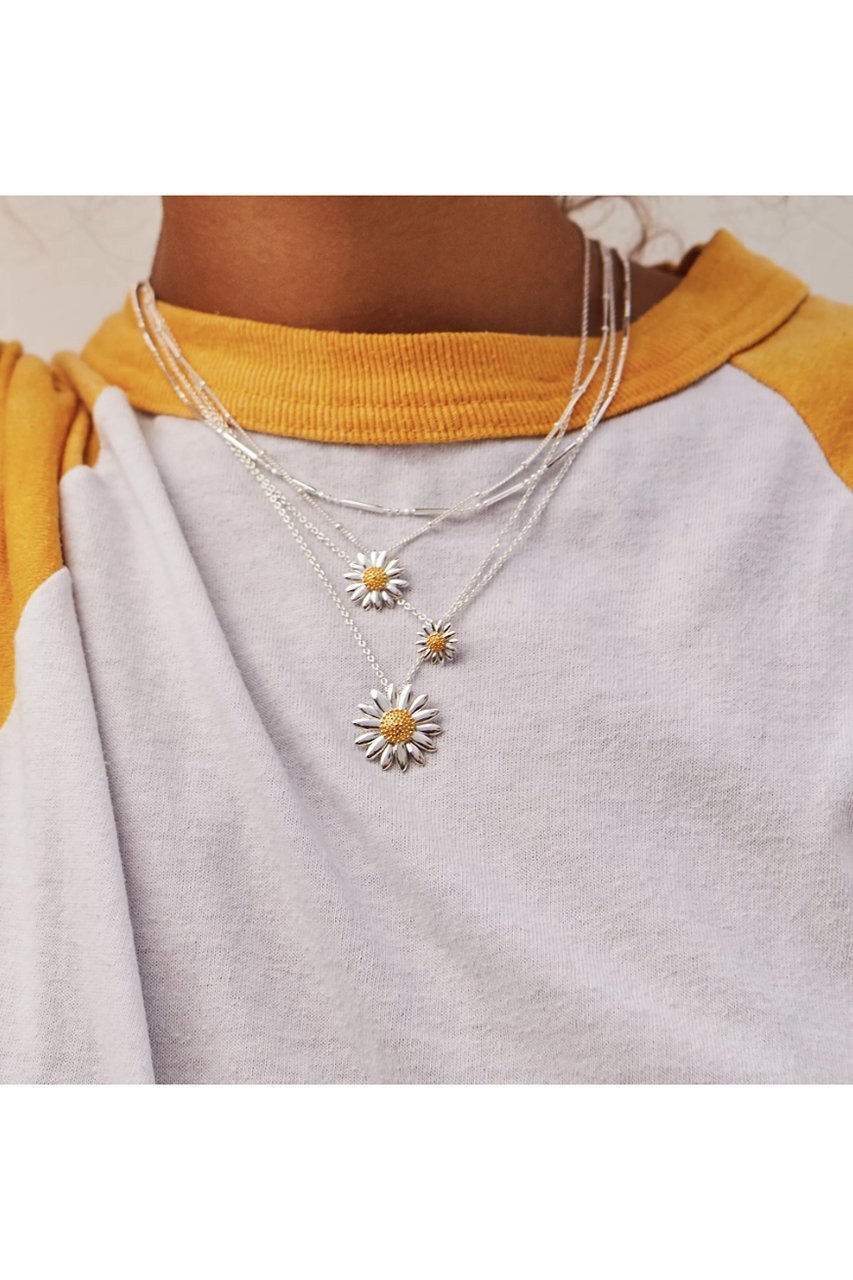 【デイジー ロンドン/DAISY LONDON】のSmall English Daisy ネックレス 人気、トレンドファッション・服の通販 founy(ファニー) 　ファッション　Fashion　レディースファッション　Fashion for Women　ジュエリー　Jewelry　ネックレス　Necklaces & Pendants　シルバー　Silver, Metallic Silver　チェーン　Chain, Chain Strap　デコルテ　Décolleté, Neckline　ネックレス　Necklace, Pendant Necklace　パーティ　Party, Party Style　ランダム　Random, Irregular　エレガント 上品　Elegant　新作・新入荷　New Arrivals / New In　other-2|ID: prp329100004757704 ipo3291000000034419812
