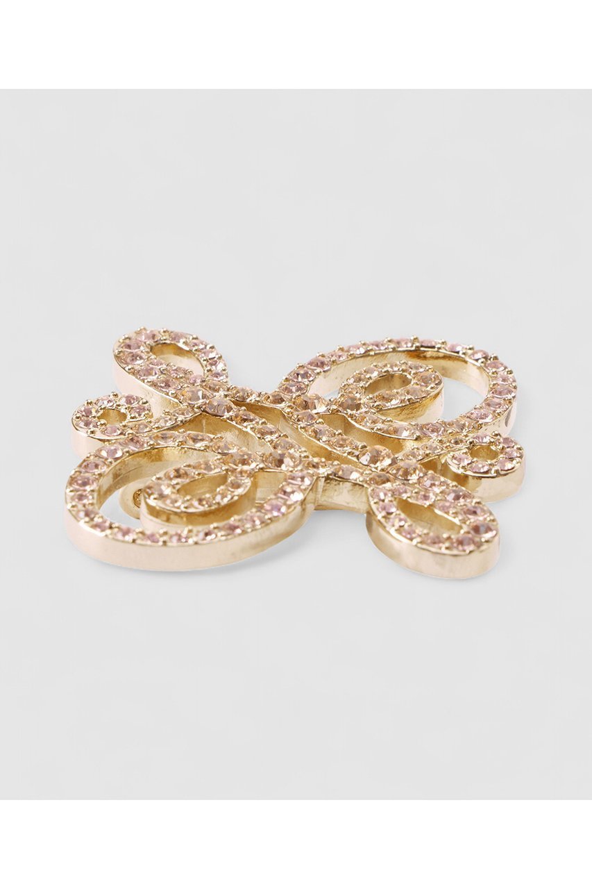 【アナイ/ANAYI】のロゴモチーフビジューブローチ 人気、トレンドファッション・服の通販 founy(ファニー) ファッション Fashion レディースファッション Fashion for Women 2025年 2025 2025-2026秋冬・A/W Autumn/Winter 2025–26 AW25–26 エレガント 上品 Elegant ガラス Glass, Glassware ブローチ Brooch, Pin Brooch モダン Modern, Contemporary A/W・秋冬 Autumn/Winter other-2|ID: prp329100004761676 ipo3291000000034461315