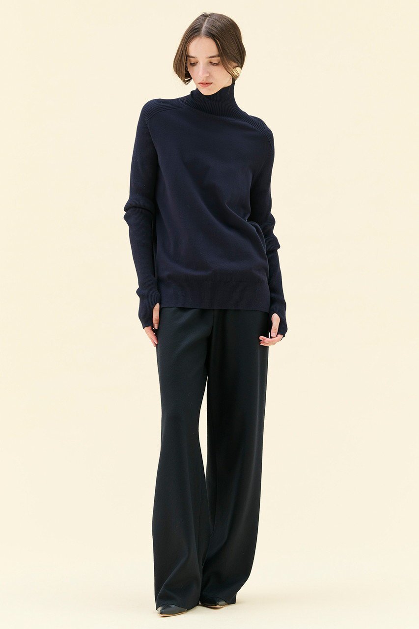 【ベイジ,/BEIGE,】のWILLOW / サムホールハイネックニット 人気、トレンドファッション・服の通販 founy(ファニー) 　ファッション　Fashion　レディースファッション　Fashion for Women　トップス・カットソー　Cut & Sew Tops　ニット　Knit Tops & Sweaters　カジュアルプルオーバー・ニットトップス　Pullovers & Knit Tops / Casual Pullovers　おすすめ　Recommended / Our Picks　シンプル　Simple, Minimal　スリット　Slit, Slit Detail　タイトスカート　Pencil Skirt, Tight Skirt　タートル　Turtleneck, Turtle Collar　ハイネック　High Neck, Mock Neck　ロング　Long, Long-Length　ワイド　Wide, Wide Fit　人気　Popular, Best Seller　新作・新入荷　New Arrivals / New In　other-2|ID: prp329100004761686 ipo3291000000034461368