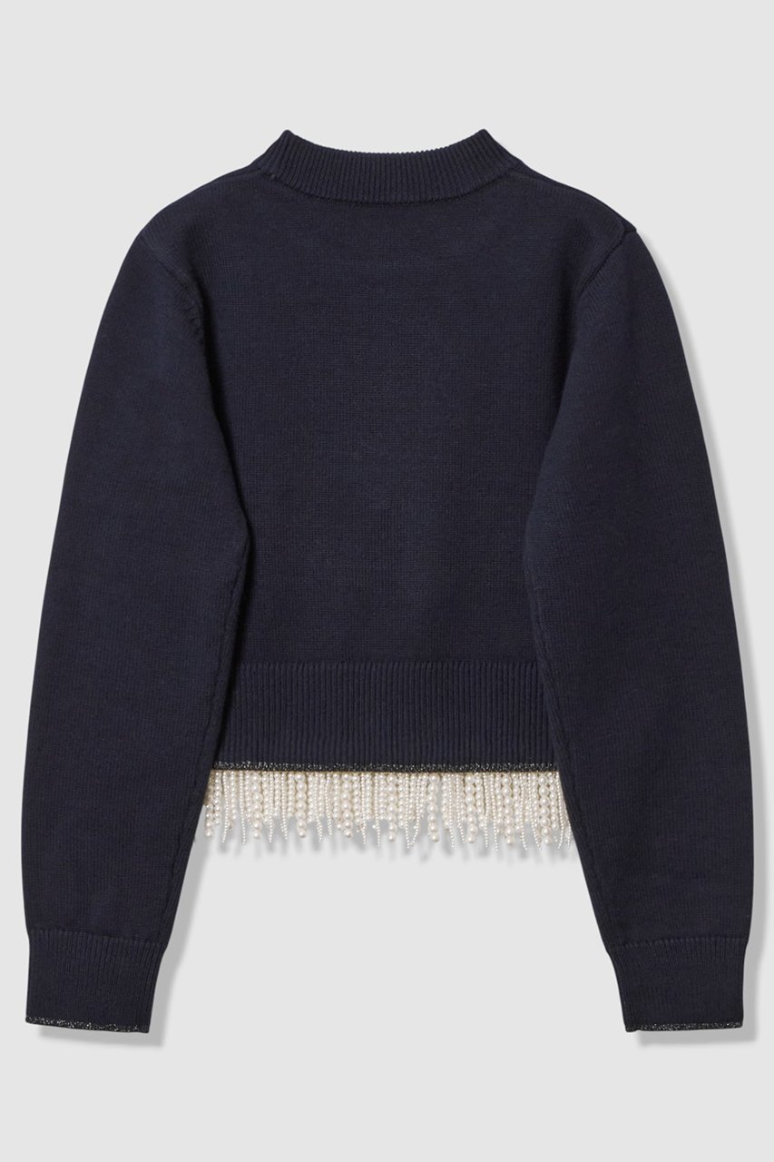 【アルアバイル/allureville】の【LOULOU WILLOUGHBY】パールフリンジフェザープルオーバー 人気、トレンドファッション・服の通販 founy(ファニー) 　ファッション　Fashion　レディースファッション　Fashion for Women　トップス・カットソー　Cut & Sew Tops　ニット　Knit Tops & Sweaters　カジュアルプルオーバー・ニットトップス　Pullovers & Knit Tops / Casual Pullovers　2025年　2025　2025-2026秋冬・A/W　Autumn/Winter 2025–26 AW25–26　スリット　Slit, Slit Detail　パール　Pearl, Pearl Accent　フリンジ　Fringe, Tassel　ホリデーシーズン　Holiday Season　エレガント 上品　Elegant　春　Spring　A/W・秋冬　Autumn/Winter　other-2|ID: prp329100004761864 ipo3291000000034462581