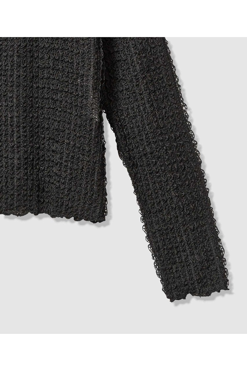 【アルアバイル/allureville】の【LOULOU WILLOUGHBY】ティアードラッセルプルオーバー 人気、トレンドファッション・服の通販 founy(ファニー) ファッション Fashion レディースファッション Fashion for Women トップス・カットソー Cut & Sew Tops シャツ・ブラウス・オフィスカジュアル Elegant Blouses & Button-Ups ロングTシャツ・Tシャツ Longline T-Shirts & Tees カジュアルプルオーバー・ニットトップス Pullovers & Knit Tops / Casual Pullovers カットソー・ベーシックTシャツ Cut-and-Sewn Tops / Stretch Tees & Basics 2025年 2025 2025-2026秋冬・A/W Autumn/Winter 2025–26 AW25–26 インナー Innerwear シンプル Simple, Minimal ジャカード/ジャガード Jacquard, Woven Pattern スリーブ Sleeve, Long Sleeve / Short Sleeve パール Pearl, Pearl Accent ラッセル Raschel, Raschel Lace ロング Long, Long-Length エレガント 上品 Elegant A/W・秋冬 Autumn/Winter other-6|ID: prp329100004762918 ipo3291000000034473279