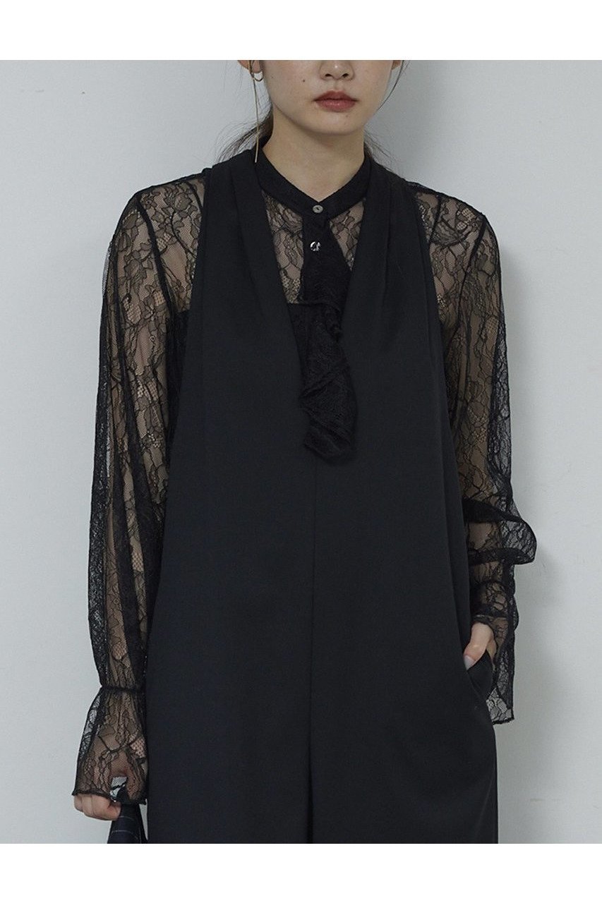 【ガリャルダガランテ/GALLARDAGALANTE】のシアーレースフリルブラウス インテリア・キッズ・メンズ・レディースファッション・服の通販 founy(ファニー) ファッション Fashion レディースファッション Fashion for Women トップス・カットソー Cut & Sew Tops シャツ・ブラウス・オフィスカジュアル Elegant Blouses & Button-Ups オケージョン Occasion Wear スリーブ Sleeve, Long Sleeve / Short Sleeve フリル Frill, Ruffle レース Lace, Lace Fabric ロング Long, Long-Length 新作・新入荷 New Arrivals / New In ブラック|ID: prp329100004763598 ipo3291000000034483542