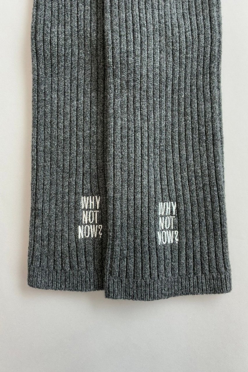 【カオス/Chaos】の【WHY NOT NOW】タホレッグウォーマー 人気、トレンドファッション・服の通販 founy(ファニー) ファッション Fashion レディースファッション Fashion for Women レッグウェア・ストッキング Legwear & Hosiery おすすめ Recommended / Our Picks ショート Short, Short Length ミュール Mule, Backless Shoes ルーズ Loose, Oversized 新作・新入荷 New Arrivals / New In 畦 Ribbed Knit 防寒 Cold Protection, Winter-Ready other-2|ID: prp329100004763610 ipo3291000000034483650