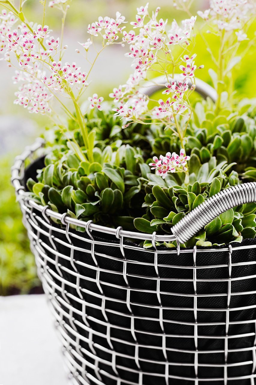 【コルボ/KORBO / GOODS】のプランティング バッグ【メーカー取り寄せ】 人気、トレンドファッション・服の通販 founy(ファニー) 　ガーデン　Garden, Gardening　バスケット　Basket, Basket Bag　新作・新入荷　New Arrivals / New In　other-2|ID: prp329100004763644 ipo3291000000034483921