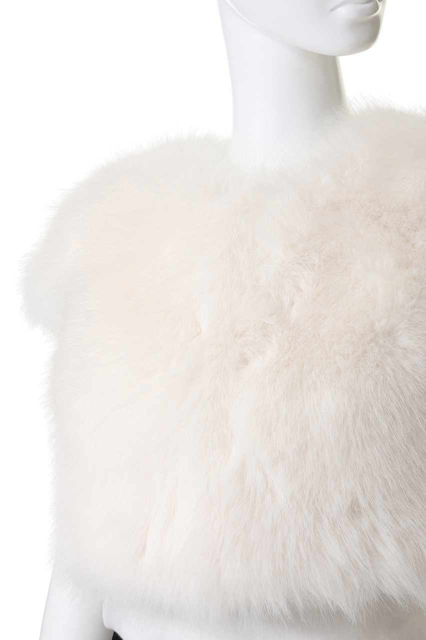 【レモンプレット/Lemonplet】のFAUX FUR ASPEN CROP JACKET 人気、トレンドファッション・服の通販 founy(ファニー) 　ファッション　Fashion　レディースファッション　Fashion for Women　アウター　Coat / Outerwear Collection　レディースジャケット・軽アウター　Jackets　ジャケット　Jacket, Outerwear　パーティ　Party, Party Style　フェイクファー　Faux Fur, Imitation Fur　フェミニン　Feminine, Girly　other-5|ID: prp329100004769279 ipo3291000000035703189