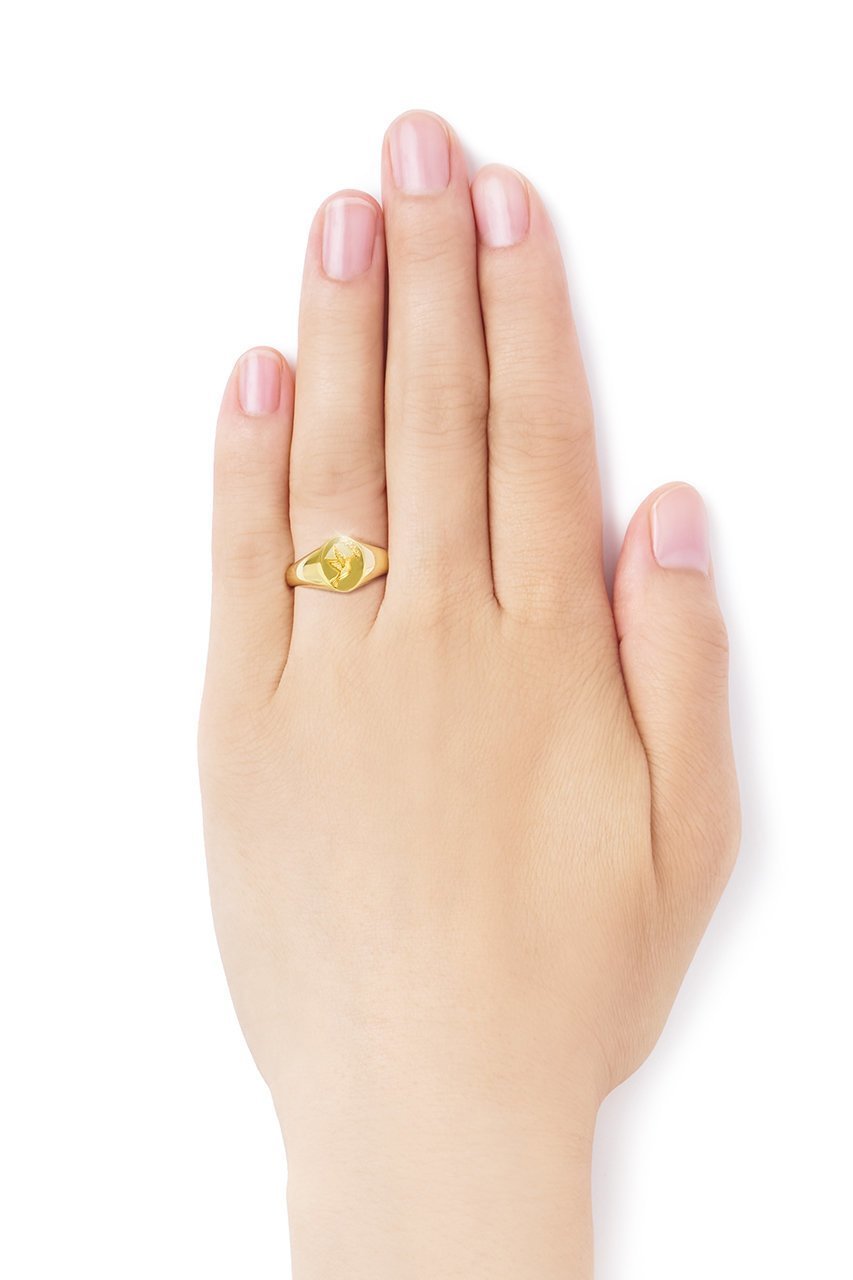 【オー/oeau】のhummingbird リング 人気、トレンドファッション・服の通販 founy(ファニー) 　ファッション　Fashion　レディースファッション　Fashion for Women　センター　Center, Center Line　フォルム　Silhouette, Form　モチーフ　Motif, Design Theme　新作・新入荷　New Arrivals / New In　other-2|ID: prp329100004773576 ipo3291000000034594017