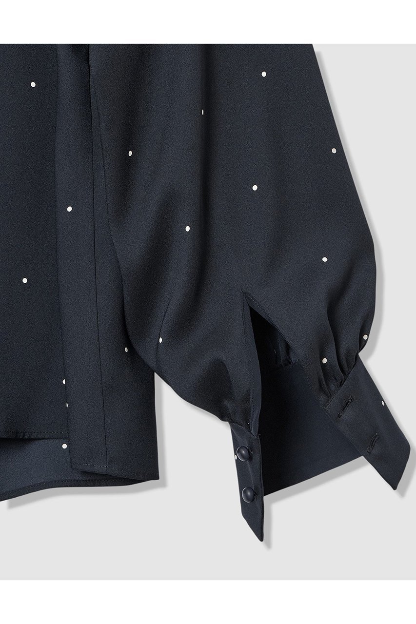 【アナイ/ANAYI】の【Eternal Line 2026】ピンドットプリントボウタイブラウス 人気、トレンドファッション・服の通販 founy(ファニー) 　ファッション　Fashion　レディースファッション　Fashion for Women　トップス・カットソー　Cut & Sew Tops　シャツ・ブラウス・オフィスカジュアル　Elegant Blouses & Button-Ups　おすすめ　Recommended / Our Picks　ショルダー　Shoulder, Shoulder Strap　ジョーゼット　Georgette, Semi-Sheer Fabric　スリーブ　Sleeve, Long Sleeve / Short Sleeve　ドット　Polka Dot, Dot Pattern　ドロップ　Drop Shoulder, Dropped Style　バランス　Balance, Style Balance　プリント　Print, Printed Pattern　ロング　Long, Long-Length　エレガント 上品　Elegant　無地　Plain, Solid Color　ビジネス 仕事 通勤　Business / Work / Commuting　other-5|ID: prp329100004776597 ipo3291000000036767042