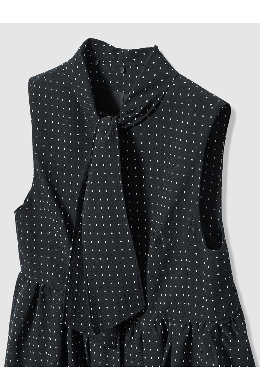 【アナイ/ANAYI】の【Eternal Line 2026】ドットジャガードペプラムジレ ブラウス 人気、トレンドファッション・服の通販 founy(ファニー) 　ファッション　Fashion　レディースファッション　Fashion for Women　アウター　Coat / Outerwear Collection　トップス・カットソー　Cut & Sew Tops　キャミソール&ノースリーブ　Camisoles & Sleeveless Tops　シャツ・ブラウス・オフィスカジュアル　Elegant Blouses & Button-Ups　ベスト&ジレ / 重ね着スタイル　Vests & Gilets　2025年　2025　2025-2026秋冬・A/W　Autumn/Winter 2025–26 AW25–26　おすすめ　Recommended / Our Picks　シンプル　Simple, Minimal　ジャカード／ジャガード　Jacquard, Woven Pattern　ストレッチ　Stretch, Stretchy Fabric　セットアップ　Set-Up, Coordinated Outfit　ドット　Polka Dot, Dot Pattern　ノースリーブ　Sleeveless, No-Sleeve　リボン　Ribbon, Bow　エレガント 上品　Elegant　春　Spring　A/W・秋冬　Autumn/Winter　other-4|ID: prp329100004776599 ipo3291000000034627978