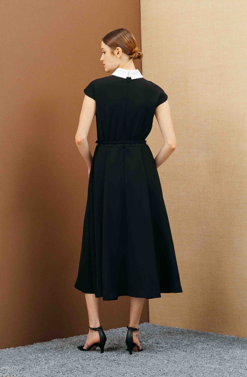 【コルコバード/CORCOVADO】のマットサテン白襟ドレス 人気、トレンドファッション・服の通販 founy(ファニー) 　ファッション　Fashion　レディースファッション　Fashion for Women　ワンピース　Dresses　フォーマル・パーティードレス・結婚式用ドレス　Elegant & Casual Dresses　チュニック　Tunic Tops & Dresses　オケージョン　Occasion Wear　サテン　Satin, Glossy Fabric　スリーブ　Sleeve, Long Sleeve / Short Sleeve　チュニック　Tunic, Long Top　ドレス　Dress, One-Piece　パーティ　Party, Party Style　フレア　Flare, Flared　フレンチ　French, French Style　再入荷　Restock / Back in Stock　other-6|ID: prp329100004778125 ipo3291000000034648725