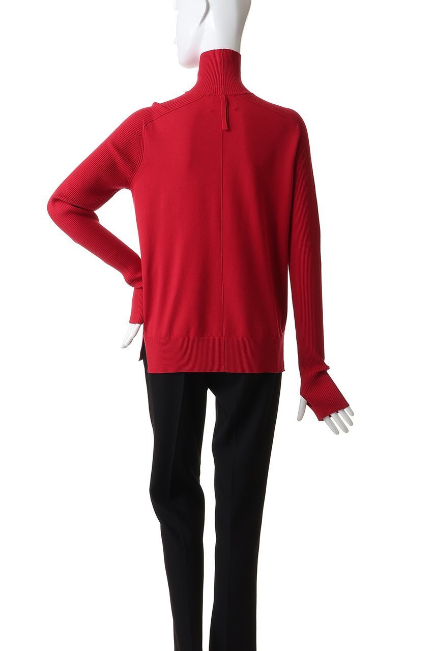 【ベイジ,/BEIGE,】のWILLOW / サムホールハイネックニット/ 人気、トレンドファッション・服の通販 founy(ファニー) 　ファッション　Fashion　レディースファッション　Fashion for Women　トップス・カットソー　Cut & Sew Tops　ニット　Knit Tops & Sweaters　カジュアルプルオーバー・ニットトップス　Pullovers & Knit Tops / Casual Pullovers　おすすめ　Recommended / Our Picks　シンプル　Simple, Minimal　ストレッチ　Stretch, Stretchy Fabric　スリット　Slit, Slit Detail　タートル　Turtleneck, Turtle Collar　ハイネック　High Neck, Mock Neck　ロング　Long, Long-Length　人気　Popular, Best Seller　other-4|ID: prp329100004779927 ipo3291000000036846011