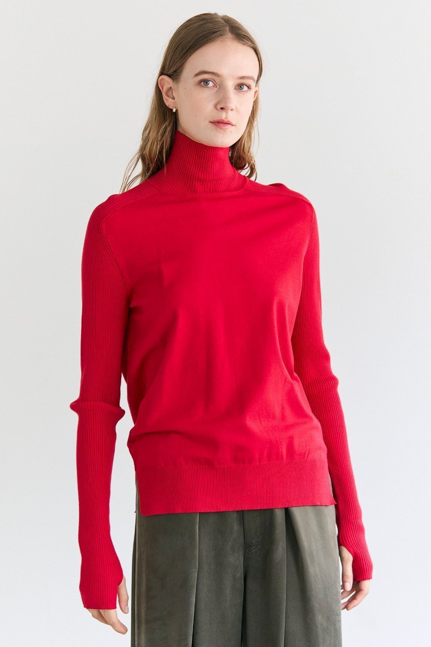 【ベイジ,/BEIGE,】のWILLOW / サムホールハイネックニット/ 人気、トレンドファッション・服の通販 founy(ファニー) 　ファッション　Fashion　レディースファッション　Fashion for Women　トップス・カットソー　Cut & Sew Tops　ニット　Knit Tops & Sweaters　カジュアルプルオーバー・ニットトップス　Pullovers & Knit Tops / Casual Pullovers　おすすめ　Recommended / Our Picks　シンプル　Simple, Minimal　ストレッチ　Stretch, Stretchy Fabric　スリット　Slit, Slit Detail　タートル　Turtleneck, Turtle Collar　ハイネック　High Neck, Mock Neck　ロング　Long, Long-Length　人気　Popular, Best Seller　other-8|ID: prp329100004779927 ipo3291000000036846019