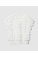 【アルアバイル/allureville】の【LOULOU WILLOUGHBY】ペタルパピヨンプルオーバー 人気、トレンドファッション・服の通販 founy(ファニー) ファッション Fashion レディースファッション Fashion for Women トップス・カットソー Cut & Sew Tops ニット Knit Tops & Sweaters カジュアルプルオーバー・ニットトップス Pullovers & Knit Tops / Casual Pullovers 2025年 2025 2025-2026秋冬・A/W Autumn/Winter 2025–26 AW25–26 おすすめ Recommended / Our Picks アンサンブル Ensemble Set ギャザー Gathered, Ruffled スリーブ Sleeve, Long Sleeve / Short Sleeve フリル Frill, Ruffle フレンチ French, French Style モチーフ Motif, Design Theme A/W・秋冬 Autumn/Winter |ID:prp329100004780664