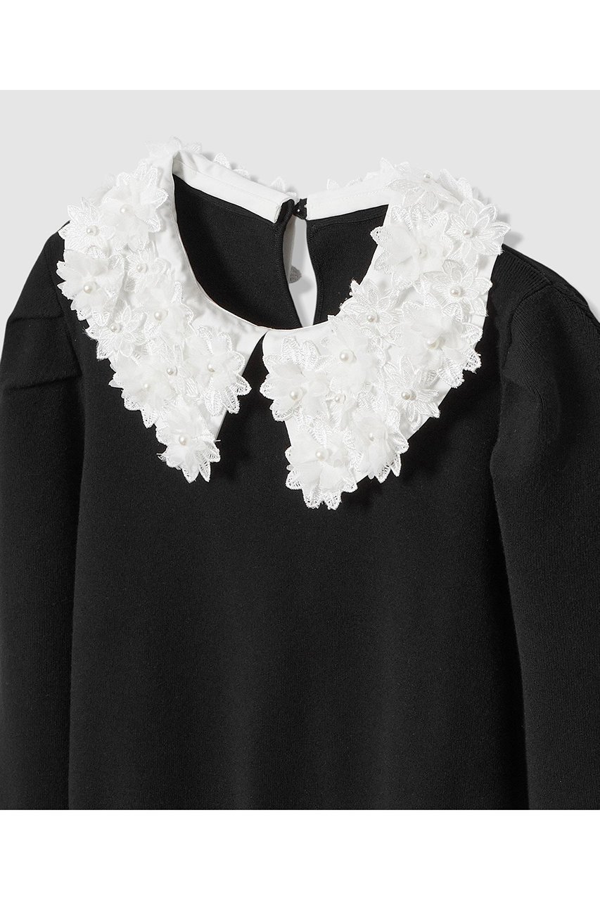 【アルアバイル/allureville】の【LOULOU WILLOUGHBY】フラワー衿付プルオーバー 人気、トレンドファッション・服の通販 founy(ファニー) 　ファッション　Fashion　レディースファッション　Fashion for Women　トップス・カットソー　Cut & Sew Tops　ニット　Knit Tops & Sweaters　カジュアルプルオーバー・ニットトップス　Pullovers & Knit Tops / Casual Pullovers　2025年　2025　2025-2026秋冬・A/W　Autumn/Winter 2025–26 AW25–26　シンプル　Simple, Minimal　パール　Pearl, Pearl Accent　フラワー　Flower, Floral　モチーフ　Motif, Design Theme　A/W・秋冬　Autumn/Winter　other-4|ID: prp329100004780697 ipo3291000000034684806