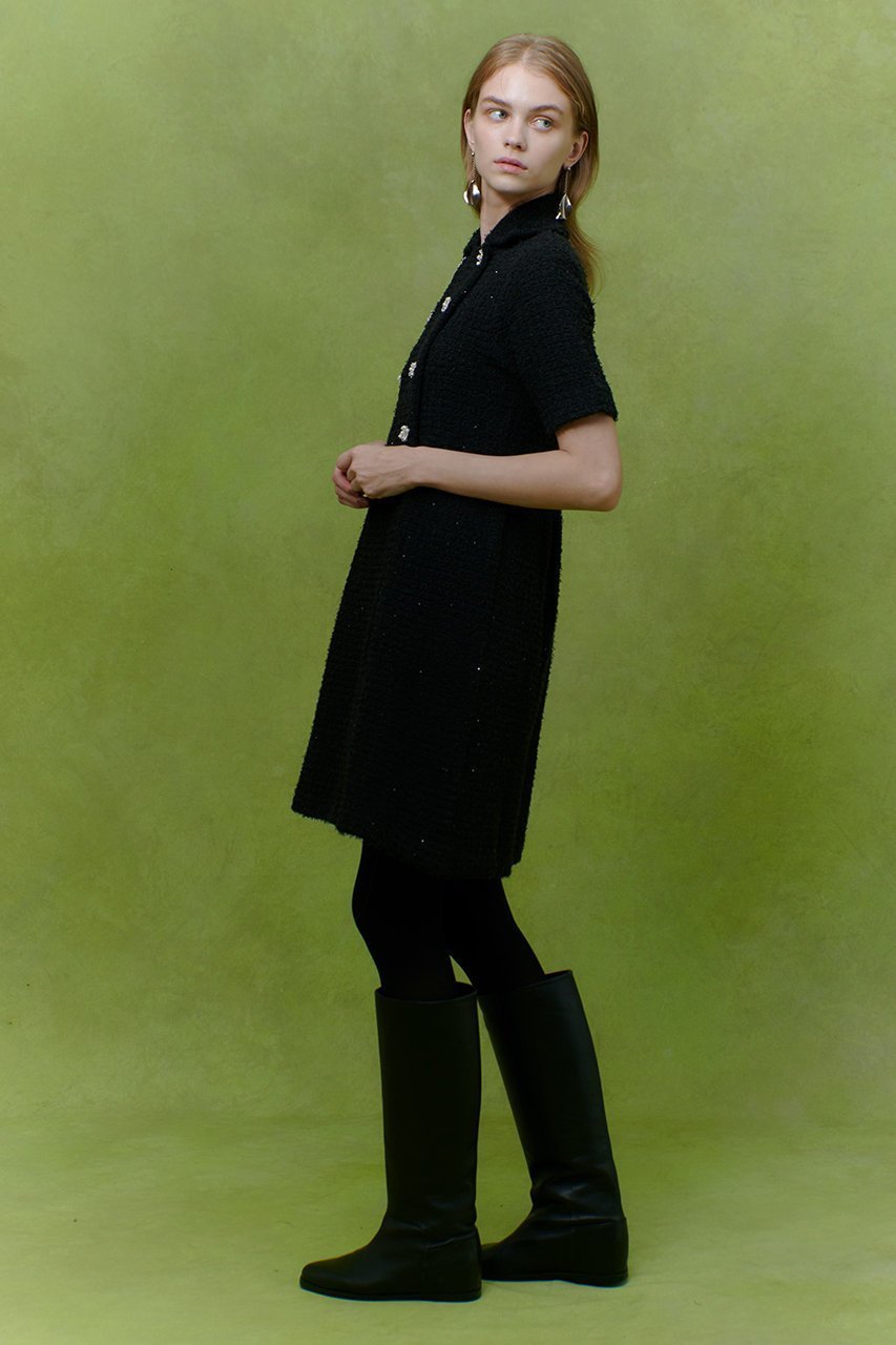 【アルアバイル/allureville】の【LOULOU WILLOUGHBY】ニットツィードワンピース 人気、トレンドファッション・服の通販 founy(ファニー) ファッション Fashion レディースファッション Fashion for Women ワンピース Dresses チュニック Tunic Tops & Dresses 2025年 2025 2025-2026秋冬・A/W Autumn/Winter 2025–26 AW25–26 シルバー Silver, Metallic Silver スパンコール Sequins, Sequin Embellishment チュニック Tunic, Long Top ツイード Twill, Twill Weave ロング Long, Long-Length エレガント 上品 Elegant A/W・秋冬 Autumn/Winter other-6|ID: prp329100004780703 ipo3291000000034684852