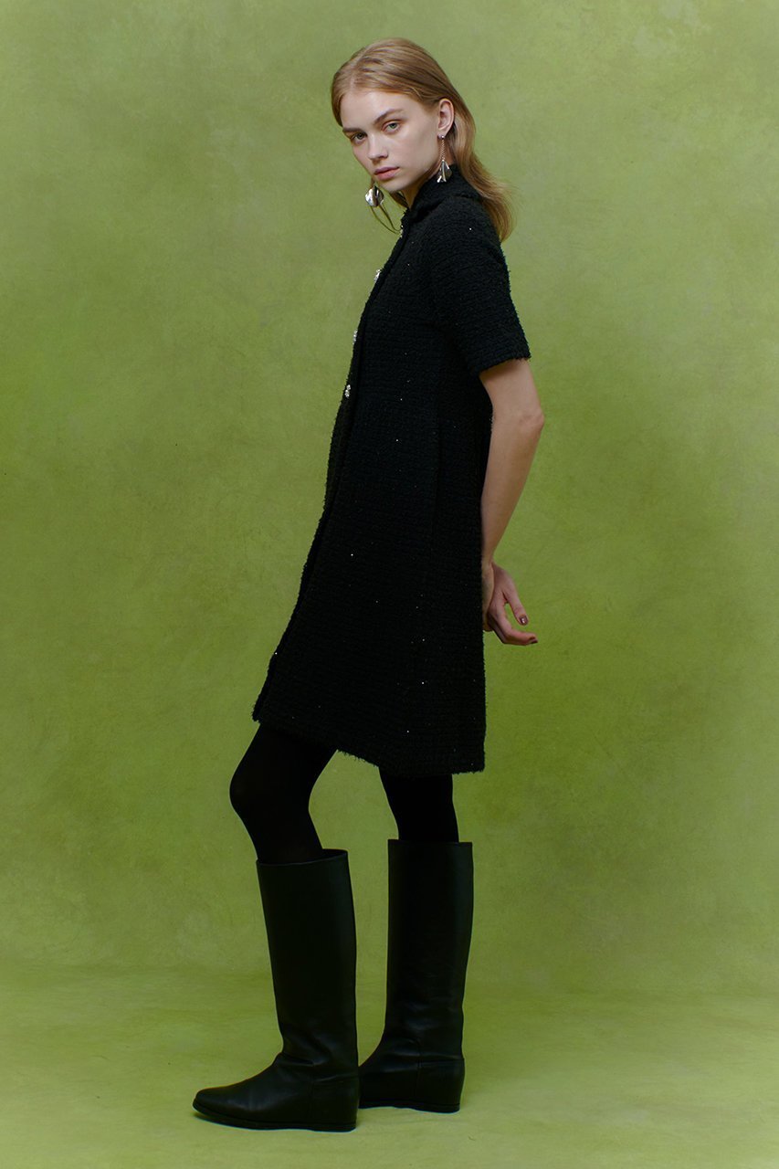 【アルアバイル/allureville】の【LOULOU WILLOUGHBY】ニットツィードワンピース 人気、トレンドファッション・服の通販 founy(ファニー) 　ファッション　Fashion　レディースファッション　Fashion for Women　ワンピース　Dresses　チュニック　Tunic Tops & Dresses　2026年　2026　シルバー　Silver, Metallic Silver　スパンコール　Sequins, Sequin Embellishment　チュニック　Tunic, Long Top　ツイード　Twill, Twill Weave　ロング　Long, Long-Length　エレガント 上品　Elegant　夏　Summer　春　Spring　S/S・春夏　SS, Spring/Summer, Warm Season　other-5|ID: prp329100004780703 ipo3291000000036185296