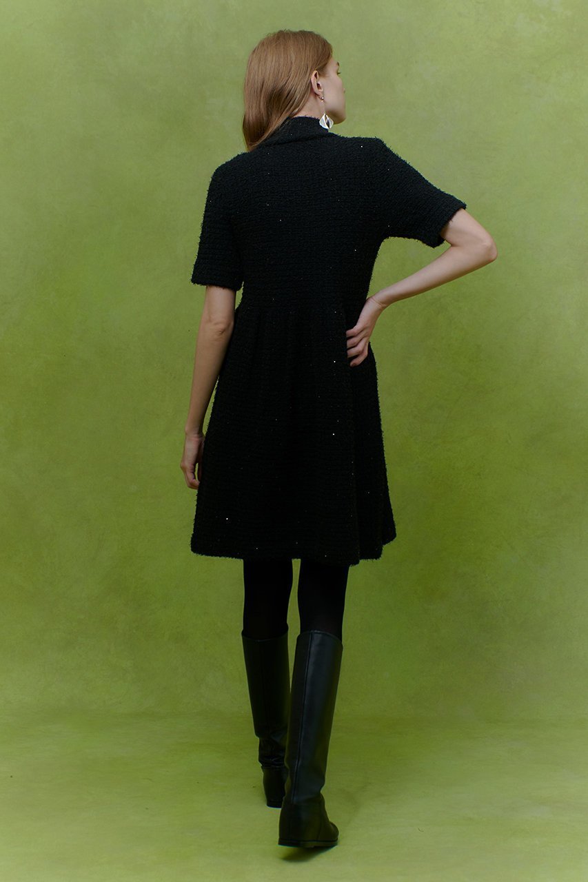 【アルアバイル/allureville】の【LOULOU WILLOUGHBY】ニットツィードワンピース 人気、トレンドファッション・服の通販 founy(ファニー) 　ファッション　Fashion　レディースファッション　Fashion for Women　ワンピース　Dresses　チュニック　Tunic Tops & Dresses　2026年　2026　シルバー　Silver, Metallic Silver　スパンコール　Sequins, Sequin Embellishment　チュニック　Tunic, Long Top　ツイード　Twill, Twill Weave　ロング　Long, Long-Length　エレガント 上品　Elegant　夏　Summer　春　Spring　S/S・春夏　SS, Spring/Summer, Warm Season　other-7|ID: prp329100004780703 ipo3291000000036185298