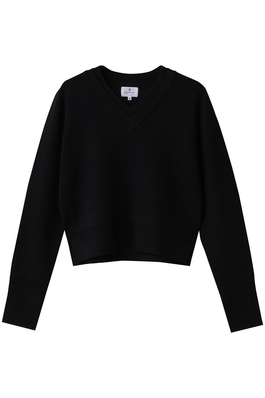 【ランバン オン ブルー/LANVIN en Bleu】のダブルフェイスVネックニット インテリア・キッズ・メンズ・レディースファッション・服の通販 founy(ファニー) 　ファッション　Fashion　レディースファッション　Fashion for Women　トップス・カットソー　Cut & Sew Tops　ニット　Knit Tops & Sweaters　カジュアルプルオーバー・ニットトップス　Pullovers & Knit Tops / Casual Pullovers　Vネックトップス　V-Neck Tops / V-Cut Neckline Shirts　2026年　2026　おすすめ　Recommended / Our Picks　コンパクト　Compact, Small Size　シンプル　Simple, Minimal　スリーブ　Sleeve, Long Sleeve / Short Sleeve　ダブル　Double, Double-Breasted　トレンド　Trend, Trending Now　フェイス　Face, Facial Design　ロング　Long, Long-Length　ワイド　Wide, Wide Fit　夏　Summer　春　Spring　S/S・春夏　SS, Spring/Summer, Warm Season　ブラック|ID: prp329100004781839 ipo3291000000034695007