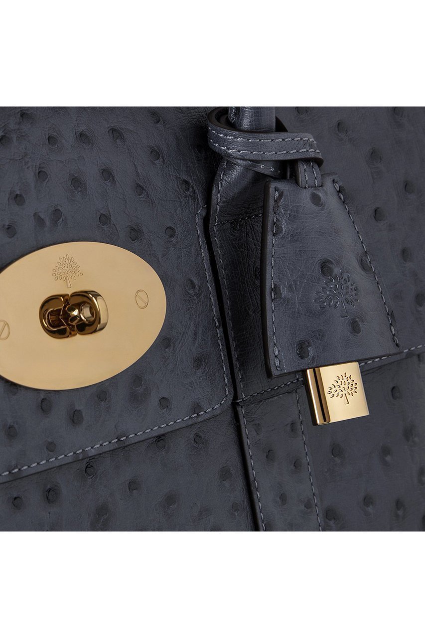 【マルベリー/Mulberry】のBAYSWATER(OSTRICH PRINT) 人気、トレンドファッション・服の通販 founy(ファニー) 　ファッション　Fashion　レディースファッション　Fashion for Women　バッグ　Bags　2026年　2026　ウォーター　Water　クラシック　Classic, Timeless Style　フォルム　Silhouette, Form　ポケット　Pocket, Pocket Detail　エレガント 上品　Elegant　夏　Summer　春　Spring　S/S・春夏　SS, Spring/Summer, Warm Season　other-4|ID: prp329100004782606 ipo3291000000034705947