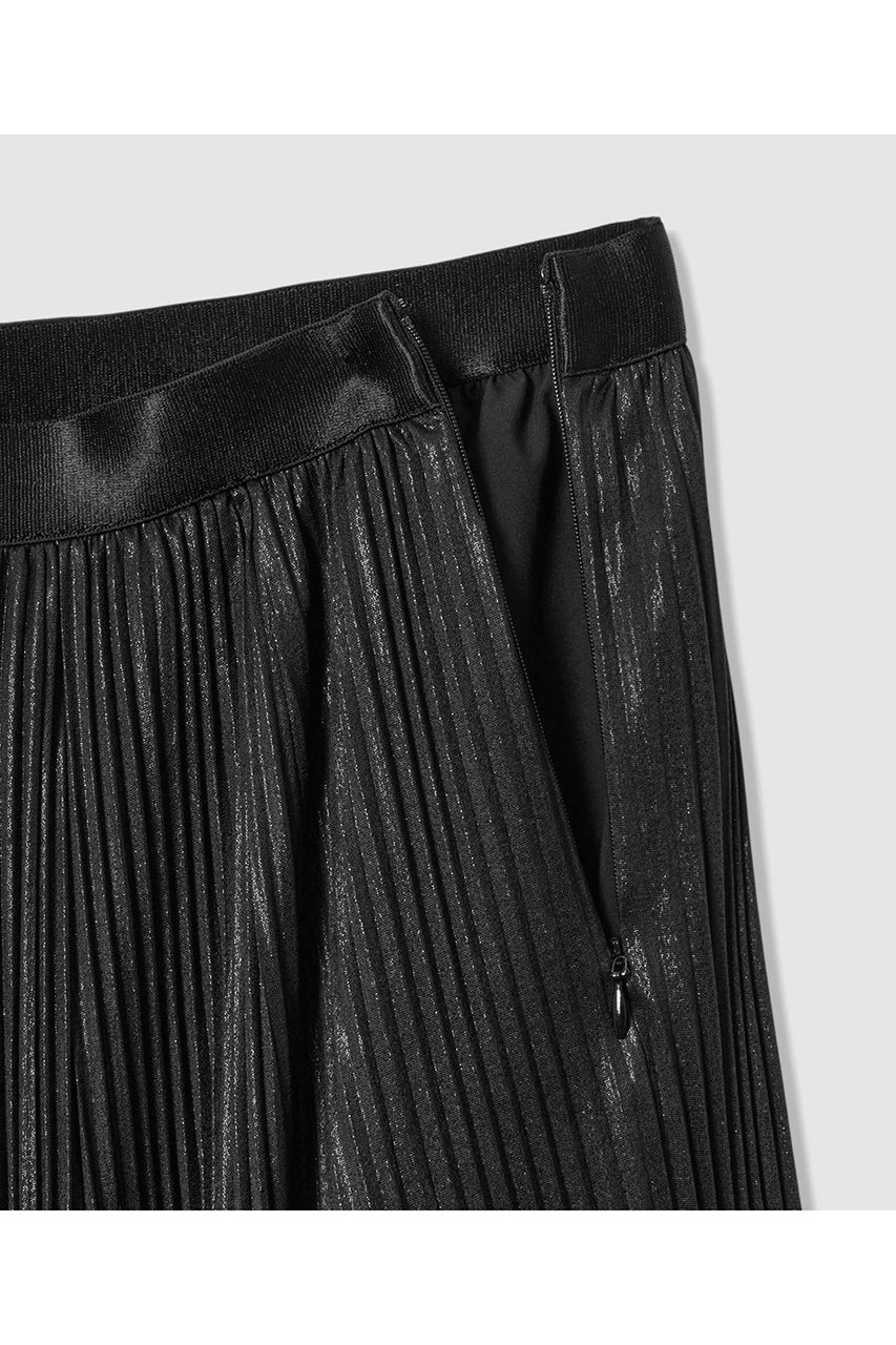 【アナイ/ANAYI】のセミシャイニーラメプリーツ スカート 人気、トレンドファッション・服の通販 founy(ファニー) 　ファッション　Fashion　レディースファッション　Fashion for Women　スカート　Skirts　プリーツスカート / 上品フェミニンスタイル　Pleated Skirts　ロングスカート　Long Skirts / Maxi & Midi Skirts　2026年　2026　おすすめ　Recommended / Our Picks　エレガント 上品　Elegant　クリスタル　Crystal, Swarovski　サテン　Satin, Glossy Fabric　ドット　Polka Dot, Dot Pattern　プリント　Print, Printed Pattern　プリーツ　Pleats, Pleated　ロング　Long, Long-Length　夏　Summer　春　Spring　S/S・春夏　SS, Spring/Summer, Warm Season　other-3|ID: prp329100004782624 ipo3291000000034706074