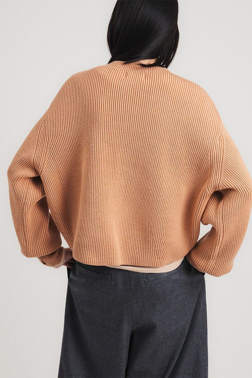 【スタニングルアー/STUNNING LURE】のrアゼニットプルオーバー 人気、トレンドファッション・服の通販 founy(ファニー) 　ファッション　Fashion　レディースファッション　Fashion for Women　トップス・カットソー　Cut & Sew Tops　ニット　Knit Tops & Sweaters　カジュアルプルオーバー・ニットトップス　Pullovers & Knit Tops / Casual Pullovers　なめらか　Smooth, Silky Texture　ショート　Short, Short Length　シンプル　Simple, Minimal　バランス　Balance, Style Balance　ボトム　Bottoms, Lower Wear　エレガント 上品　Elegant　other-8|ID: prp329100004784148 ipo3291000000036207363