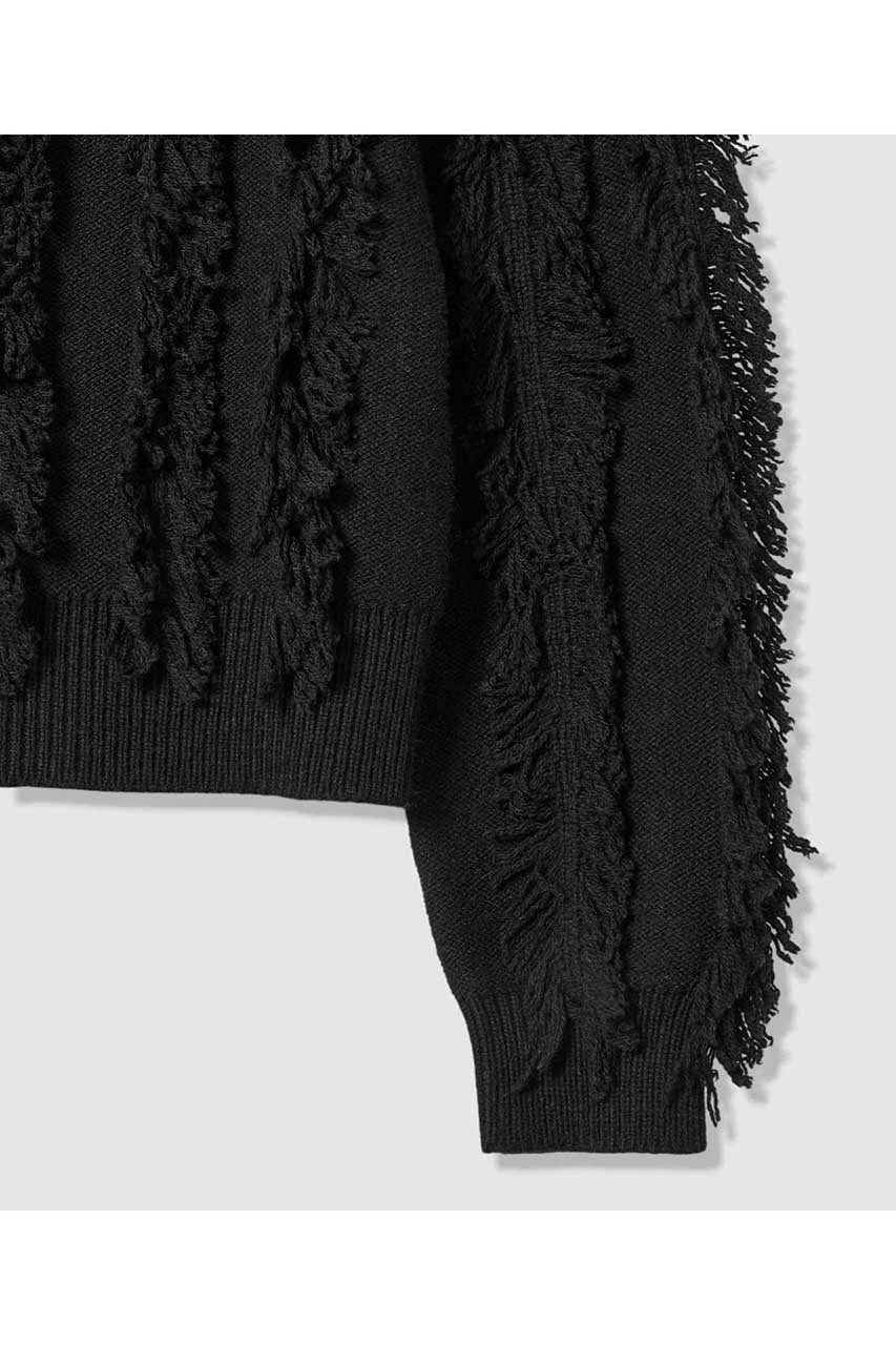 【アルアバイル/allureville】のフリンジシャギー2WAYプルオーバー 人気、トレンドファッション・服の通販 founy(ファニー) ファッション Fashion レディースファッション Fashion for Women トップス・カットソー Cut & Sew Tops ニット Knit Tops & Sweaters カジュアルプルオーバー・ニットトップス Pullovers & Knit Tops / Casual Pullovers 2026年 2026 カーディガン Cardigan, Knitwear フリンジ Fringe, Tassel 夏 Summer 春 Spring S/S・春夏 SS, Spring/Summer, Warm Season other-5|ID: prp329100004789515 ipo3291000000034756642