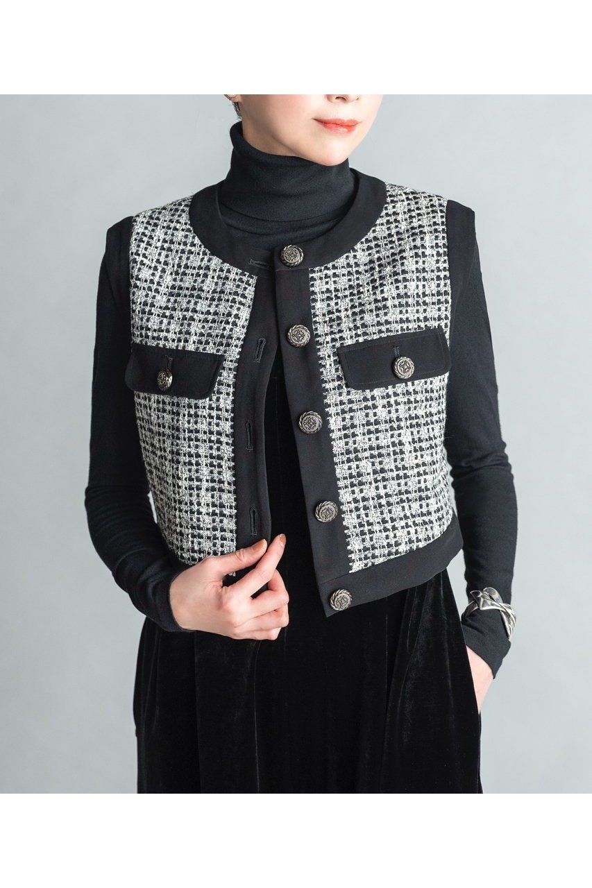 【デイジーリン/DAISY LIN】のWashable Tweed “Stylish Vest” 人気、トレンドファッション・服の通販 founy(ファニー) ファッション Fashion レディースファッション Fashion for Women アウター Coat / Outerwear Collection レディースジャケット・軽アウター Jackets エレガント 上品 Elegant 洗える Machine Washable クラシカル Classical, Vintage-Inspired ショート Short, Short Length ジャケット Jacket, Outerwear スタイリッシュ Stylish, Fashionable ツイード Twill, Twill Weave 定番 Standard, Basic Item ベスト Vest, Waistcoat ボックス Boxy, Box Shape モダン Modern, Contemporary 新作・新入荷 New Arrivals / New In other-6|ID: prp329100004793071 ipo3291000000034777529