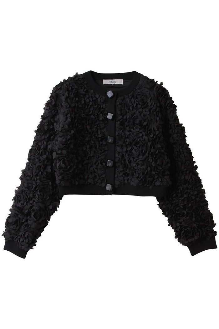 【コルコバード/CORCOVADO】のヴィオラジャケット インテリア・キッズ・メンズ・レディースファッション・服の通販 founy(ファニー) https://founy.com/ ファッション Fashion レディースファッション Fashion for Women アウター Coat / Outerwear Collection レディースジャケット・軽アウター Jackets 2026年 2026 コンパクト Compact, Small Size ショート Short, Short Length ジャケット Jacket, Outerwear フラワー Flower, Floral モチーフ Motif, Design Theme 夏 Summer 春 Spring S/S・春夏 SS, Spring/Summer, Warm Season |ID: prp329100004793109 ipo3291000000034777774