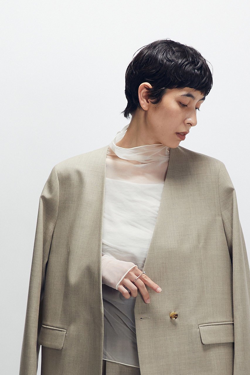 【プルミエ アロンディスモン/1er Arrondissement】のシアーハイネックカットソー 人気、トレンドファッション・服の通販 founy(ファニー) 　ファッション　Fashion　レディースファッション　Fashion for Women　トップス・カットソー　Cut & Sew Tops　シャツ・ブラウス・オフィスカジュアル　Elegant Blouses & Button-Ups　ロングTシャツ・Tシャツ　Longline T-Shirts & Tees　カットソー・ベーシックTシャツ　Cut-and-Sewn Tops / Stretch Tees & Basics　2026年　2026　キャミソール　Camisole, Spaghetti Strap Top　キャミワンピース　Cami Dress, Slip Dress　シアー　Sheer, See-Through　ジャケット　Jacket, Outerwear　スリーブ　Sleeve, Long Sleeve / Short Sleeve　タンク　Tank Top, Sleeveless Top　トレンド　Trend, Trending Now　ハイネック　High Neck, Mock Neck　ベスト　Vest, Waistcoat　ロング　Long, Long-Length　エレガント 上品　Elegant　夏　Summer　春　Spring　S/S・春夏　SS, Spring/Summer, Warm Season　other-7|ID: prp329100004798599 ipo3291000000034921222