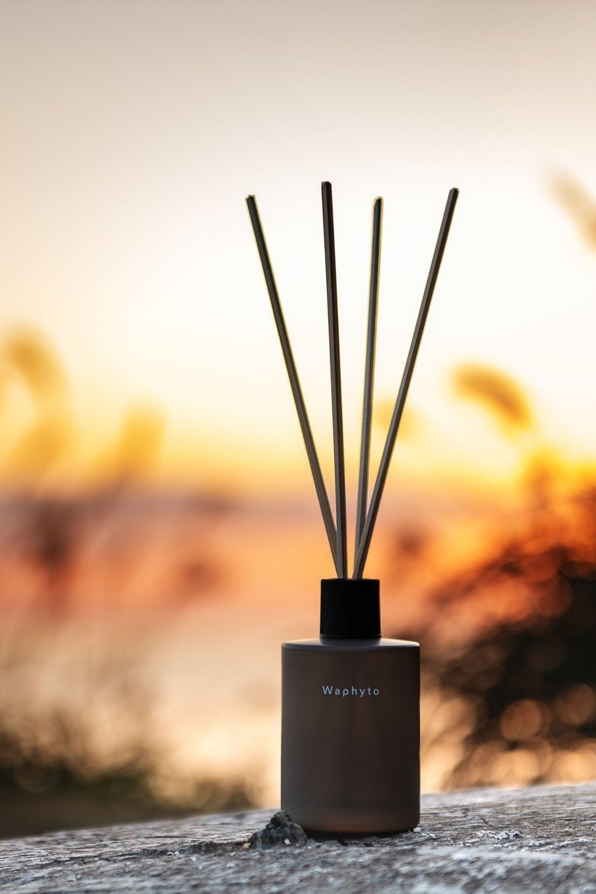 【ワフィト/Waphyto / GOODS】のディフューザー詰替用 ベルガモット&パチュリ 人気、トレンドファッション・服の通販 founy(ファニー) ガラス Glass, Glassware ギフト プレゼント Gift / Present リラックス Relax, Relaxed Fit 新作・新入荷 New Arrivals / New In other-2|ID: prp329100004801373 ipo3291000000034835843