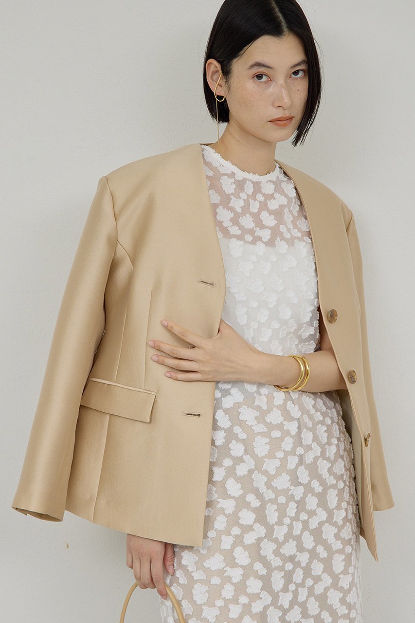 【ガリャルダガランテ/GALLARDAGALANTE】の【セットアップ対応】シルキーダブルクロスジャケット 人気、トレンドファッション・服の通販 founy(ファニー) ファッション Fashion レディースファッション Fashion for Women アウター Coat / Outerwear Collection レディースジャケット・軽アウター Jackets 2026年 2026 エレガント 上品 Elegant シェイプ Shape, Slim Fit ジャケット Jacket, Outerwear スマート Smart, Elegant セットアップ Set-Up, Coordinated Outfit 夏 Summer 春 Spring S/S・春夏 SS, Spring/Summer, Warm Season other-6|ID: prp329100004807463 ipo3291000000034885699