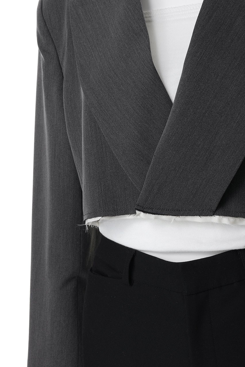 【メゾンスペシャル/MAISON SPECIAL】のBack-Tulle Short Jacket/バックチュールショートジャケット 人気、トレンドファッション・服の通販 founy(ファニー) 　ファッション　Fashion　レディースファッション　Fashion for Women　アウター　Coat / Outerwear Collection　レディースジャケット・軽アウター　Jackets　春　Spring　ショート　Short, Short Length　ジャケット　Jacket, Outerwear　チュール　Tulip, Tulip Motif　ボトム　Bottoms, Lower Wear　S/S・春夏　SS, Spring/Summer, Warm Season　夏　Summer　2026年　2026　other-5|ID: prp329100004807504 ipo3291000000035707788