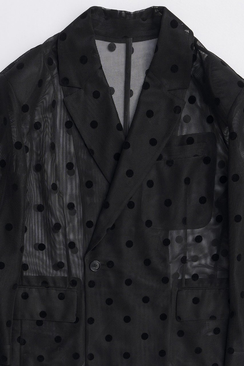 【メゾンスペシャル/MAISON SPECIAL】のSheer Over Jacket/シアーオーバージャケット 人気、トレンドファッション・服の通販 founy(ファニー) 　ファッション　Fashion　レディースファッション　Fashion for Women　アウター　Coat / Outerwear Collection　レディースジャケット・軽アウター　Jackets　インナー　Innerwear　春　Spring　ジャケット　Jacket, Outerwear　ストライプ　Stripe, Striped Pattern　ボトム　Bottoms, Lower Wear　メッシュ　Mesh, Net Fabric　ロング　Long, Long-Length　S/S・春夏　SS, Spring/Summer, Warm Season　夏　Summer　2026年　2026　other-2|ID: prp329100004807539 ipo3291000000034886669