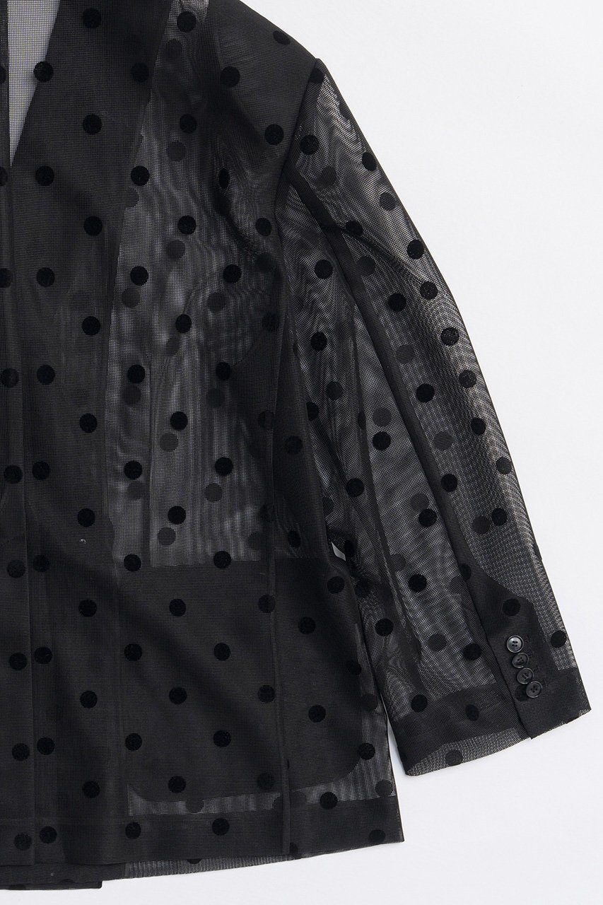 【メゾンスペシャル/MAISON SPECIAL】のSheer Over Jacket/シアーオーバージャケット 人気、トレンドファッション・服の通販 founy(ファニー) 　ファッション　Fashion　レディースファッション　Fashion for Women　アウター　Coat / Outerwear Collection　レディースジャケット・軽アウター　Jackets　インナー　Innerwear　春　Spring　ジャケット　Jacket, Outerwear　ストライプ　Stripe, Striped Pattern　ボトム　Bottoms, Lower Wear　メッシュ　Mesh, Net Fabric　ロング　Long, Long-Length　S/S・春夏　SS, Spring/Summer, Warm Season　夏　Summer　2026年　2026　other-6|ID: prp329100004807539 ipo3291000000034886673