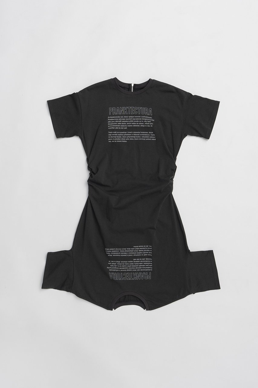 【プランク プロジェクト/PRANK PROJECT】のカットシンメプリントT インテリア・キッズ・メンズ・レディースファッション・服の通販 founy(ファニー) 　ファッション　Fashion　レディースファッション　Fashion for Women　トップス・カットソー　Cut & Sew Tops　シャツ・ブラウス・オフィスカジュアル　Elegant Blouses & Button-Ups　ロングTシャツ・Tシャツ　Longline T-Shirts & Tees　カットソー・ベーシックTシャツ　Cut-and-Sewn Tops / Stretch Tees & Basics　2026年　2026　グラフィック　Graphic, Graphic Design　ショート　Short, Short Length　スリーブ　Sleeve, Long Sleeve / Short Sleeve　ドレス　Dress, One-Piece　プリント　Print, Printed Pattern　夏　Summer　春　Spring　S/S・春夏　SS, Spring/Summer, Warm Season　C.GRY(チャコールグレー)|ID: prp329100004809921 ipo3291000000034908712