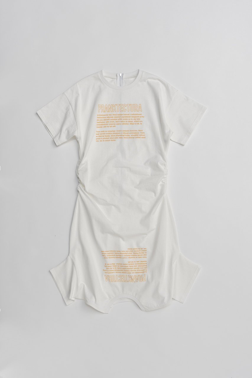 【プランク プロジェクト/PRANK PROJECT】のカットシンメプリントT インテリア・キッズ・メンズ・レディースファッション・服の通販 founy(ファニー) 　ファッション　Fashion　レディースファッション　Fashion for Women　トップス・カットソー　Cut & Sew Tops　シャツ・ブラウス・オフィスカジュアル　Elegant Blouses & Button-Ups　ロングTシャツ・Tシャツ　Longline T-Shirts & Tees　カットソー・ベーシックTシャツ　Cut-and-Sewn Tops / Stretch Tees & Basics　2026年　2026　グラフィック　Graphic, Graphic Design　ショート　Short, Short Length　スリーブ　Sleeve, Long Sleeve / Short Sleeve　ドレス　Dress, One-Piece　プリント　Print, Printed Pattern　夏　Summer　春　Spring　S/S・春夏　SS, Spring/Summer, Warm Season　WHT(ホワイト)|ID: prp329100004809921 ipo3291000000034908713