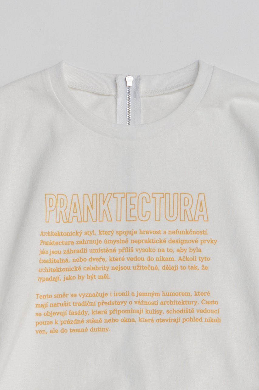 【プランク プロジェクト/PRANK PROJECT】のカットシンメプリントT 人気、トレンドファッション・服の通販 founy(ファニー) 　ファッション　Fashion　レディースファッション　Fashion for Women　トップス・カットソー　Cut & Sew Tops　シャツ・ブラウス・オフィスカジュアル　Elegant Blouses & Button-Ups　ロングTシャツ・Tシャツ　Longline T-Shirts & Tees　カットソー・ベーシックTシャツ　Cut-and-Sewn Tops / Stretch Tees & Basics　2026年　2026　グラフィック　Graphic, Graphic Design　ショート　Short, Short Length　スリーブ　Sleeve, Long Sleeve / Short Sleeve　ドレス　Dress, One-Piece　プリント　Print, Printed Pattern　夏　Summer　春　Spring　S/S・春夏　SS, Spring/Summer, Warm Season　other-2|ID: prp329100004809921 ipo3291000000034908714