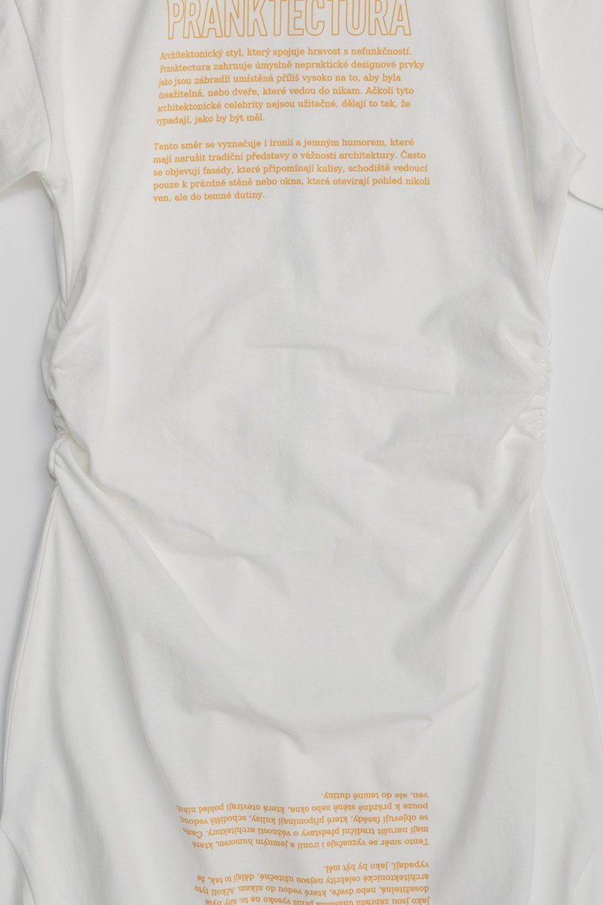 【プランク プロジェクト/PRANK PROJECT】のカットシンメプリントT 人気、トレンドファッション・服の通販 founy(ファニー) 　ファッション　Fashion　レディースファッション　Fashion for Women　トップス・カットソー　Cut & Sew Tops　シャツ・ブラウス・オフィスカジュアル　Elegant Blouses & Button-Ups　ロングTシャツ・Tシャツ　Longline T-Shirts & Tees　カットソー・ベーシックTシャツ　Cut-and-Sewn Tops / Stretch Tees & Basics　2026年　2026　グラフィック　Graphic, Graphic Design　ショート　Short, Short Length　スリーブ　Sleeve, Long Sleeve / Short Sleeve　ドレス　Dress, One-Piece　プリント　Print, Printed Pattern　夏　Summer　春　Spring　S/S・春夏　SS, Spring/Summer, Warm Season　other-3|ID: prp329100004809921 ipo3291000000034908715