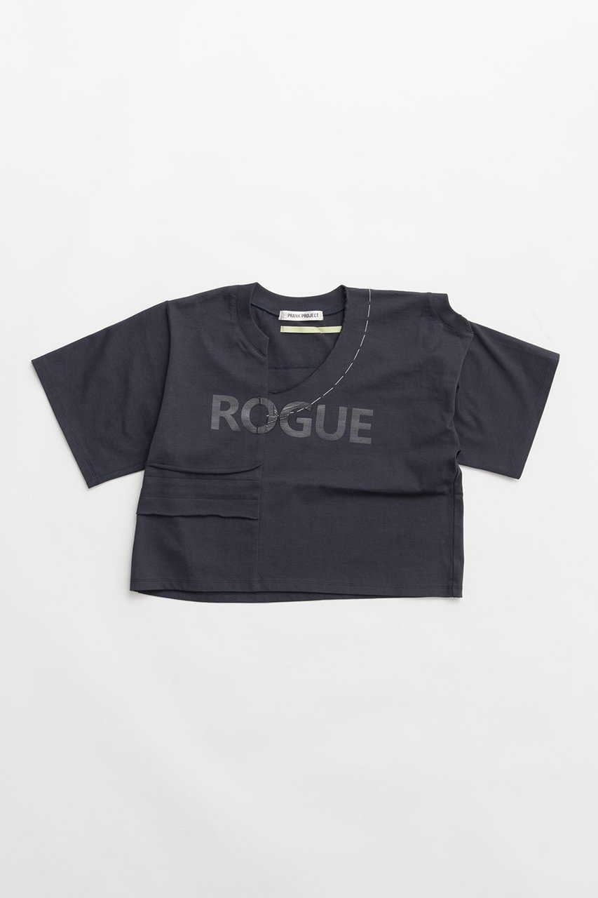 【プランク プロジェクト/PRANK PROJECT】のエラーTシャツ インテリア・キッズ・メンズ・レディースファッション・服の通販 founy(ファニー) 　ファッション　Fashion　レディースファッション　Fashion for Women　トップス・カットソー　Cut & Sew Tops　シャツ・ブラウス・オフィスカジュアル　Elegant Blouses & Button-Ups　ロングTシャツ・Tシャツ　Longline T-Shirts & Tees　カットソー・ベーシックTシャツ　Cut-and-Sewn Tops / Stretch Tees & Basics　2026年　2026　ショート　Short, Short Length　スリーブ　Sleeve, Long Sleeve / Short Sleeve　バランス　Balance, Style Balance　フロント　Front, Front Design　プリント　Print, Printed Pattern　夏　Summer　春　Spring　S/S・春夏　SS, Spring/Summer, Warm Season　BLK(ブラック)|ID: prp329100004810923 ipo3291000000034920542