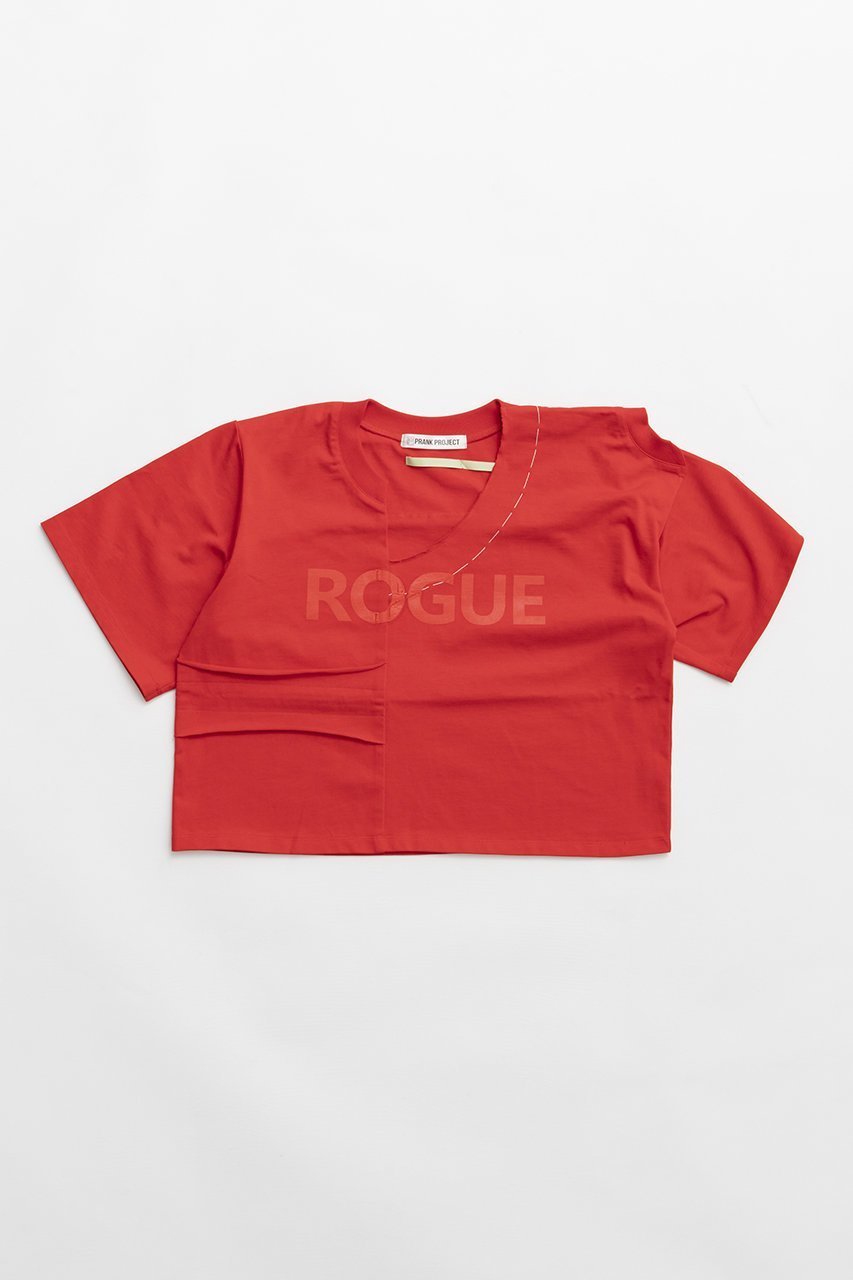 【プランク プロジェクト/PRANK PROJECT】のエラーTシャツ インテリア・キッズ・メンズ・レディースファッション・服の通販 founy(ファニー) 　ファッション　Fashion　レディースファッション　Fashion for Women　トップス・カットソー　Cut & Sew Tops　シャツ・ブラウス・オフィスカジュアル　Elegant Blouses & Button-Ups　ロングTシャツ・Tシャツ　Longline T-Shirts & Tees　カットソー・ベーシックTシャツ　Cut-and-Sewn Tops / Stretch Tees & Basics　2026年　2026　ショート　Short, Short Length　スリーブ　Sleeve, Long Sleeve / Short Sleeve　バランス　Balance, Style Balance　フロント　Front, Front Design　プリント　Print, Printed Pattern　夏　Summer　春　Spring　S/S・春夏　SS, Spring/Summer, Warm Season　RED(レッド)|ID: prp329100004810923 ipo3291000000034920544