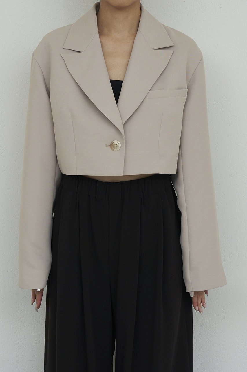 【ガリャルダガランテ/GALLARDAGALANTE】のクロップドジャケット 人気、トレンドファッション・服の通販 founy(ファニー) ファッション Fashion レディースファッション Fashion for Women アウター Coat / Outerwear Collection レディースジャケット・軽アウター Jackets クロップド Cropped, Short Length ジャケット Jacket, Outerwear トレンド Trend, Trending Now ベーシック Basic, Essential エレガント 上品 Elegant 再入荷 Restock / Back in Stock other-8|ID: prp329100004810954 ipo3291000000035361434