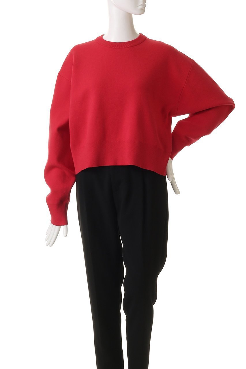 【ガリャルダガランテ/GALLARDAGALANTE】のスウェットライククルーニット 人気、トレンドファッション・服の通販 founy(ファニー) 　ファッション　Fashion　レディースファッション　Fashion for Women　トップス・カットソー　Cut & Sew Tops　ニット　Knit Tops & Sweaters　レディースパーカー・カジュアルフーディー　Casual Hoodies & Sweatshirts　カジュアルプルオーバー・ニットトップス　Pullovers & Knit Tops / Casual Pullovers　スウェット・クルーネックトップス　Sweatshirts & Crewnecks / Relaxed Fit Sweat Tops　コンパクト　Compact, Small Size　シンプル　Simple, Minimal　スウェット / スエット　Sweatshirt, Sweatwear　バランス　Balance, Style Balance　マニッシュ　Mannish, Boyish　エレガント 上品　Elegant　新作・新入荷　New Arrivals / New In　other-2|ID: prp329100004813678 ipo3291000000034951692