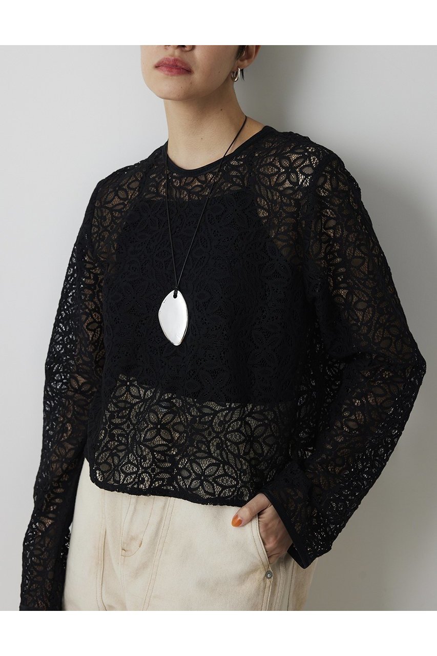 【ウィムガゼット/Whim Gazette】の【THE PAUSE】ボタニカルレースブラウス インテリア・キッズ・メンズ・レディースファッション・服の通販 founy(ファニー) 　ファッション　Fashion　レディースファッション　Fashion for Women　トップス・カットソー　Cut & Sew Tops　シャツ・ブラウス・オフィスカジュアル　Elegant Blouses & Button-Ups　2026年　2026　おすすめ　Recommended / Our Picks　スリーブ　Sleeve, Long Sleeve / Short Sleeve　バランス　Balance, Style Balance　ボタニカル　Botanical, Floral Pattern　レース　Lace, Lace Fabric　ロング　Long, Long-Length　エレガント 上品　Elegant　夏　Summer　春　Spring　S/S・春夏　SS, Spring/Summer, Warm Season　ブラック|ID: prp329100004815985 ipo3291000000034981104