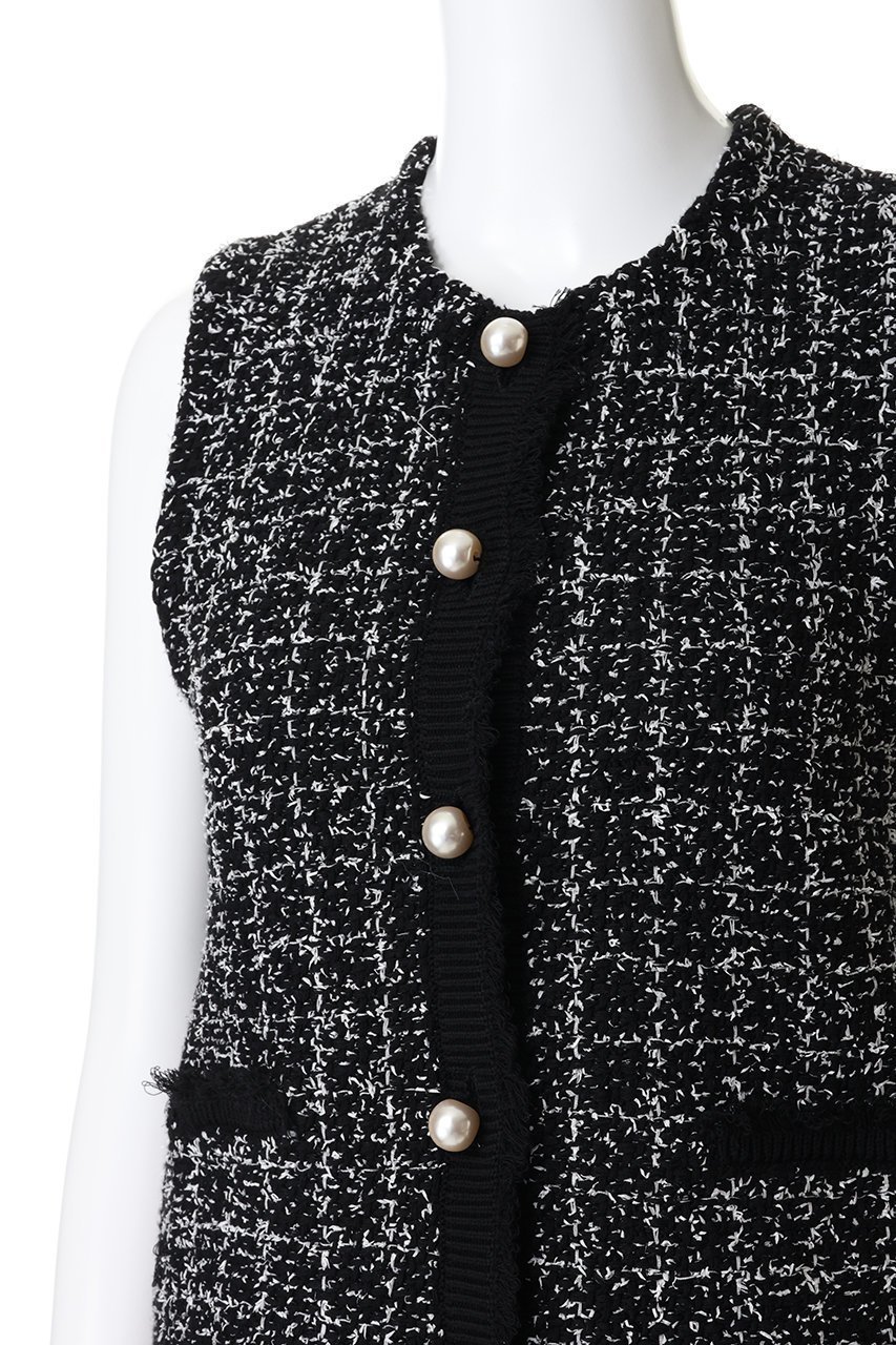 【マリリンムーン/MARILYN MOON】の【SOI-MeME】ツイードニットフリンジベスト 人気、トレンドファッション・服の通販 founy(ファニー) 　ファッション　Fashion　レディースファッション　Fashion for Women　アウター　Coat / Outerwear Collection　レディースジャケット・軽アウター　Jackets　2026年　2026　おすすめ　Recommended / Our Picks　エレガント 上品　Elegant　コンパクト　Compact, Small Size　サマー　Summer, Summer Style　ショート　Short, Short Length　シルバー　Silver, Metallic Silver　ジャケット　Jacket, Outerwear　ツイード　Twill, Twill Weave　ノースリーブ　Sleeveless, No-Sleeve　フリンジ　Fringe, Tassel　ベスト　Vest, Waistcoat　ボトム　Bottoms, Lower Wear　モダン　Modern, Contemporary　夏　Summer　春　Spring　S/S・春夏　SS, Spring/Summer, Warm Season　other-5|ID: prp329100004816982 ipo3291000000034989556