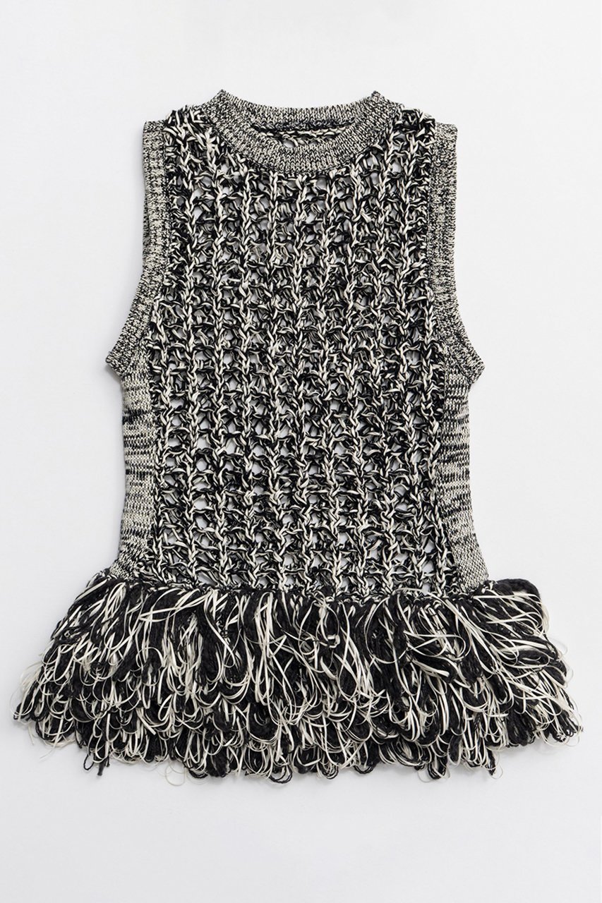 【メゾンスペシャル/MAISON SPECIAL】のFringe Mesh Vest/フリンジメッシュベスト インテリア・キッズ・メンズ・レディースファッション・服の通販 founy(ファニー) 　ファッション　Fashion　レディースファッション　Fashion for Women　アウター　Coat / Outerwear Collection　トップス・カットソー　Cut & Sew Tops　キャミソール&ノースリーブ　Camisoles & Sleeveless Tops　シャツ・ブラウス・オフィスカジュアル　Elegant Blouses & Button-Ups　ベスト&ジレ / 重ね着スタイル　Vests & Gilets　インナー　Innerwear　春　Spring　クロシェ　Crochet, Knitted Lace　シアー　Sheer, See-Through　手編み　Hand-Knitted, Handmade Knit　ノースリーブ　Sleeveless, No-Sleeve　フリンジ　Fringe, Tassel　ベスト　Vest, Waistcoat　メッシュ　Mesh, Net Fabric　S/S・春夏　SS, Spring/Summer, Warm Season　おすすめ　Recommended / Our Picks　夏　Summer　2026年　2026　MLT1(マルチカラー)|ID: prp329100004818047 ipo3291000000035002924