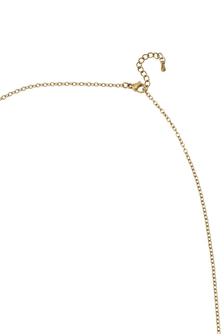 【ガリャルダガランテ/GALLARDAGALANTE】のステンレスコインネックレス 人気、トレンドファッション・服の通販 founy(ファニー) 　ファッション　Fashion　レディースファッション　Fashion for Women　ジュエリー　Jewelry　ネックレス　Necklaces & Pendants　コイン　Coin, Coin Design　チェーン　Chain, Chain Strap　ネックレス　Necklace, Pendant Necklace　モチーフ　Motif, Design Theme　エレガント 上品　Elegant　other-4|ID: prp329100004826322 ipo3291000000035435591