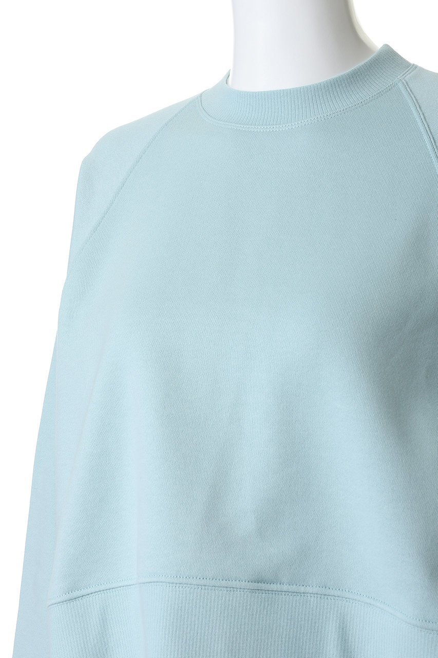 【プレインピープル/PLAIN PEOPLE】のソフト裏毛スウェットシャツ 人気、トレンドファッション・服の通販 founy(ファニー) ファッション Fashion レディースファッション Fashion for Women トップス・カットソー Cut & Sew Tops シャツ・ブラウス・オフィスカジュアル Elegant Blouses & Button-Ups レディースパーカー・カジュアルフーディー Casual Hoodies & Sweatshirts ロングTシャツ・Tシャツ Longline T-Shirts & Tees スウェット・クルーネックトップス Sweatshirts & Crewnecks / Relaxed Fit Sweat Tops カットソー・ベーシックTシャツ Cut-and-Sewn Tops / Stretch Tees & Basics 2026年 2026 ショート Short, Short Length シンプル Simple, Minimal スウェット / スエット Sweatshirt, Sweatwear バランス Balance, Style Balance 夏 Summer 春 Spring S/S・春夏 SS, Spring/Summer, Warm Season other-5|ID: prp329100004827232 ipo3291000000035125729