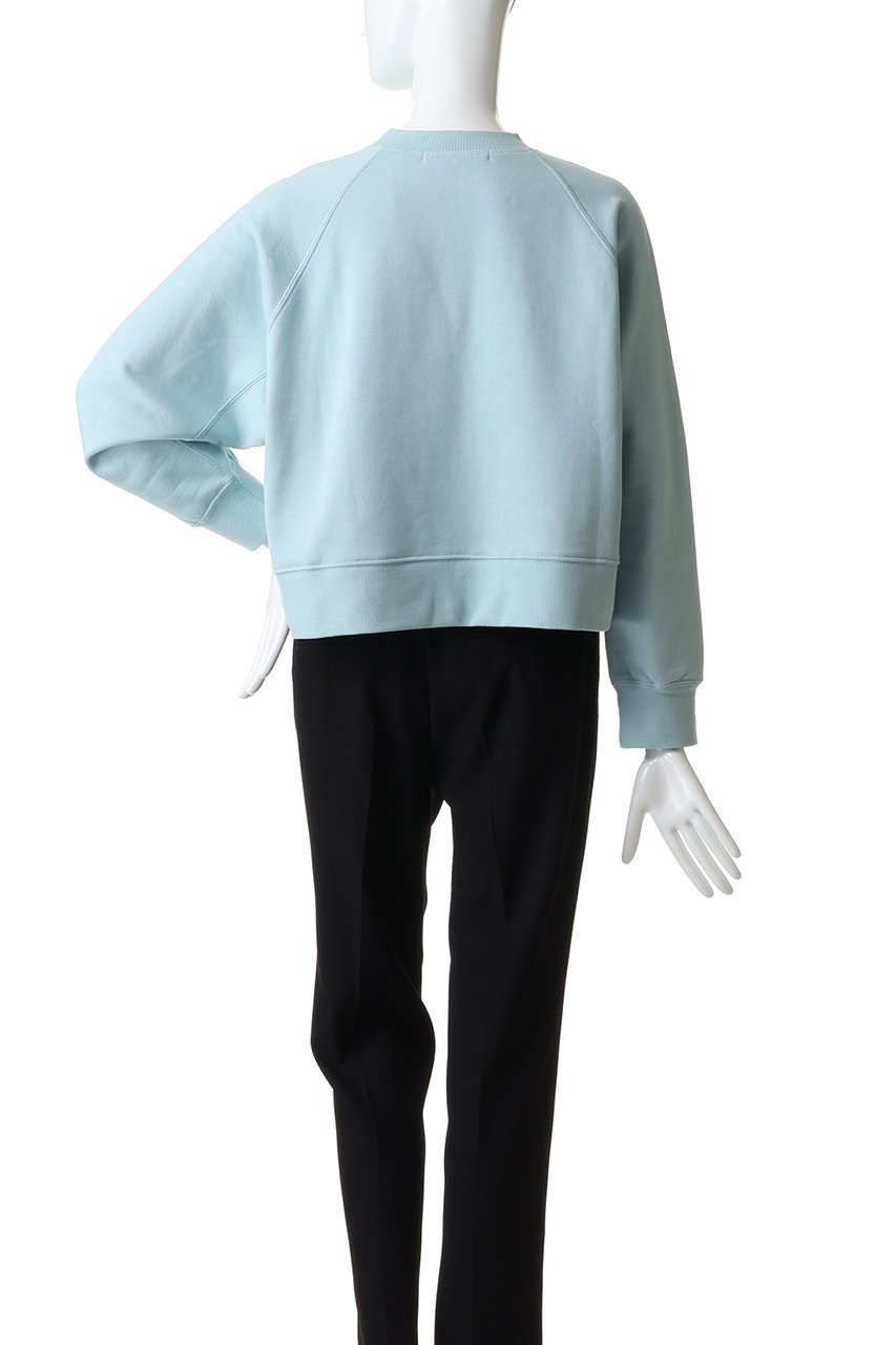 【プレインピープル/PLAIN PEOPLE】のソフト裏毛スウェットシャツ 人気、トレンドファッション・服の通販 founy(ファニー) 　ファッション　Fashion　レディースファッション　Fashion for Women　トップス・カットソー　Cut & Sew Tops　シャツ・ブラウス・オフィスカジュアル　Elegant Blouses & Button-Ups　レディースパーカー・カジュアルフーディー　Casual Hoodies & Sweatshirts　ロングTシャツ・Tシャツ　Longline T-Shirts & Tees　スウェット・クルーネックトップス　Sweatshirts & Crewnecks / Relaxed Fit Sweat Tops　カットソー・ベーシックTシャツ　Cut-and-Sewn Tops / Stretch Tees & Basics　2026年　2026　ショート　Short, Short Length　シンプル　Simple, Minimal　スウェット / スエット　Sweatshirt, Sweatwear　バランス　Balance, Style Balance　夏　Summer　春　Spring　S/S・春夏　SS, Spring/Summer, Warm Season　other-4|ID: prp329100004827232 ipo3291000000036021184