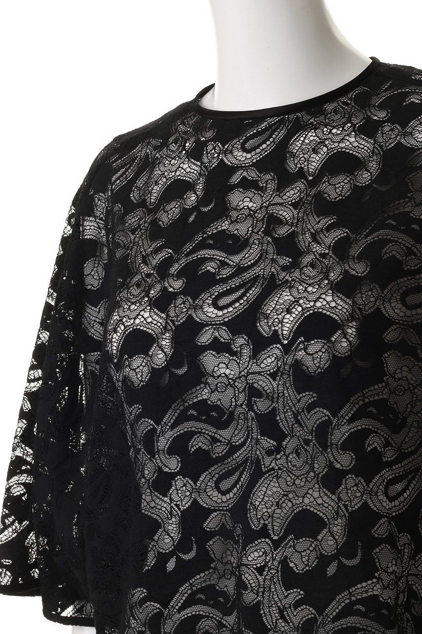 【エブール/ebure】の【店舗限定】ペイズリーラッセルレース プルオーバーブラウス 人気、トレンドファッション・服の通販 founy(ファニー) 　ファッション　Fashion　レディースファッション　Fashion for Women　トップス・カットソー　Cut & Sew Tops　シャツ・ブラウス・オフィスカジュアル　Elegant Blouses & Button-Ups　カジュアルプルオーバー・ニットトップス　Pullovers & Knit Tops / Casual Pullovers　2026年　2026　ショート　Short, Short Length　スリーブ　Sleeve, Long Sleeve / Short Sleeve　チュール　Tulip, Tulip Motif　フィット　Fit, Slim Fit　ペイズリー　Paisley, Ethnic Pattern　メッシュ　Mesh, Net Fabric　レース　Lace, Lace Fabric　夏　Summer　春　Spring　S/S・春夏　SS, Spring/Summer, Warm Season　other-5|ID: prp329100004829047 ipo3291000000035146410