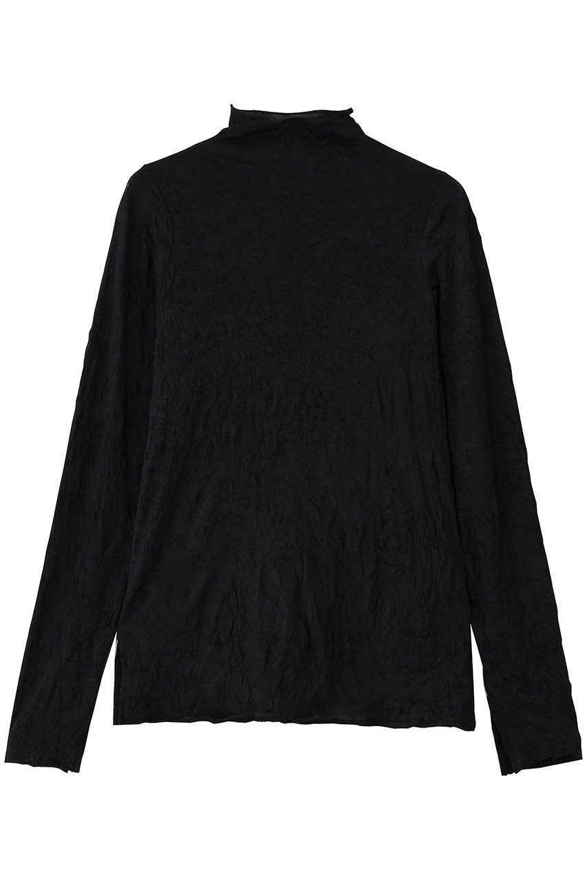 【ミディウミソリッド/MIDIUMISOLID】のsheer high neck inner.S インナー インテリア・キッズ・メンズ・レディースファッション・服の通販 founy(ファニー) ファッション Fashion レディースファッション Fashion for Women トップス・カットソー Cut & Sew Tops シャツ・ブラウス・オフィスカジュアル Elegant Blouses & Button-Ups ロングTシャツ・Tシャツ Longline T-Shirts & Tees カットソー・ベーシックTシャツ Cut-and-Sewn Tops / Stretch Tees & Basics 2026年 2026 インナー Innerwear シアー Sheer, See-Through スリット Slit, Slit Detail スリーブ Sleeve, Long Sleeve / Short Sleeve ハイネック High Neck, Mock Neck ロング Long, Long-Length エレガント 上品 Elegant 夏 Summer 春 Spring S/S・春夏 SS, Spring/Summer, Warm Season black|ID: prp329100004829089 ipo3291000000035146717